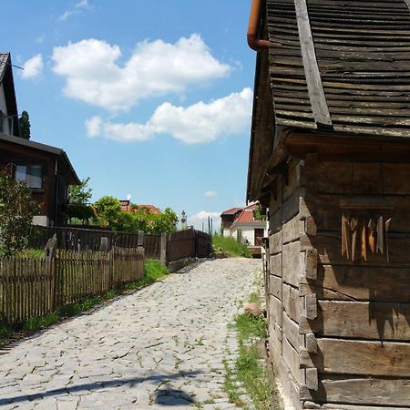 Apartament Stary Kazimierz - Apartamenty Pod Aniolem カジミエシュ・ドルニ エクステリア 写真