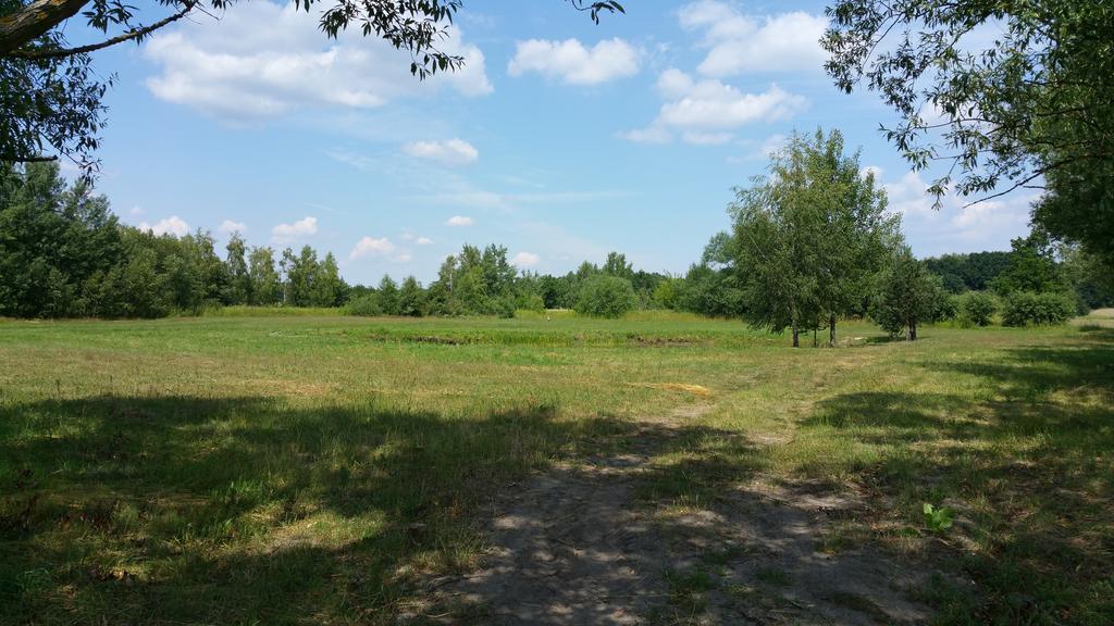 Apartament Stary Kazimierz - Apartamenty Pod Aniolem カジミエシュ・ドルニ エクステリア 写真